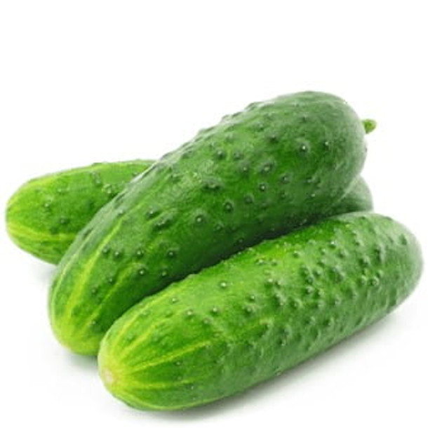 2668.jpg