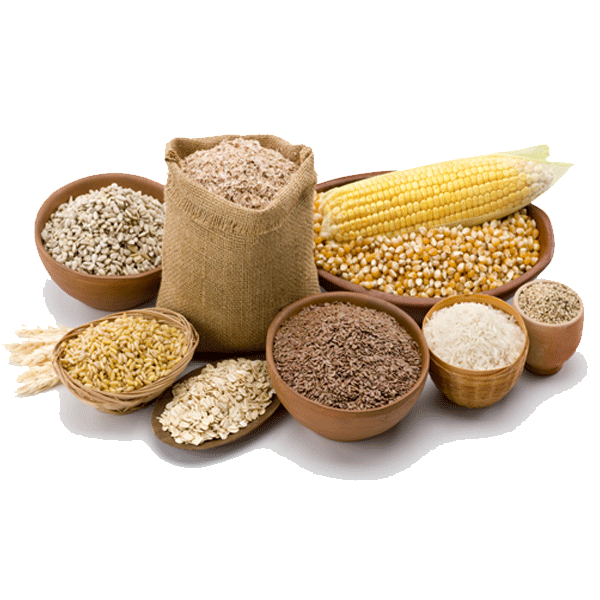 kategoria ekosmak - produkty zbozowe BIO