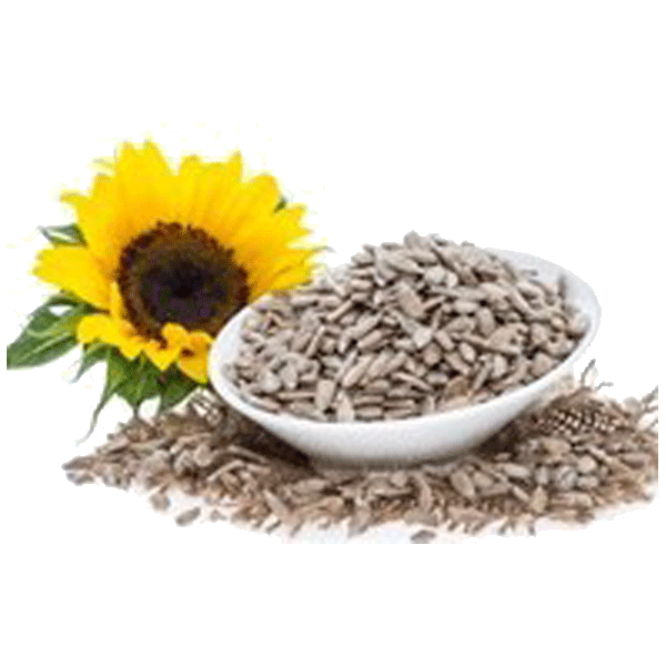 nasiona roślin oleistych bio w eko smak