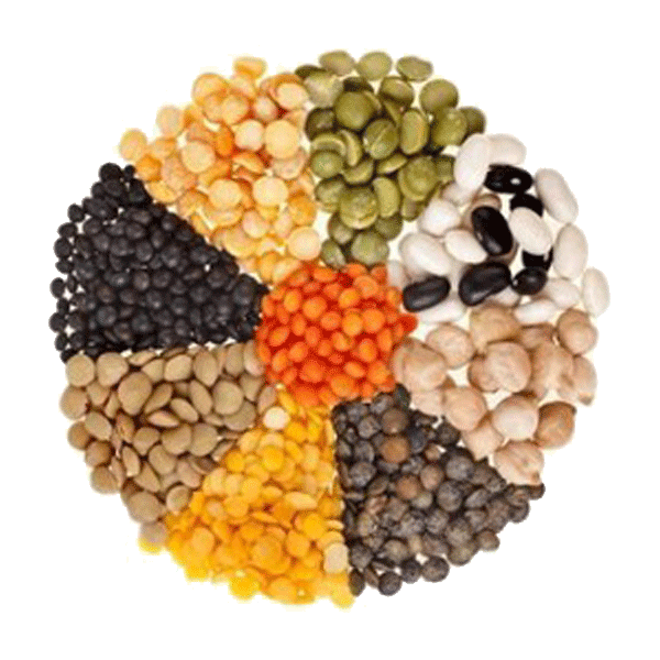 nasiona bio w eko smak