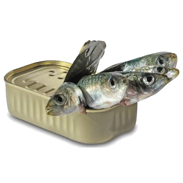 przetwory rybne bio w eko smak