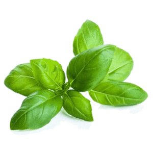 salaty i ziola swieze bio w eko smak