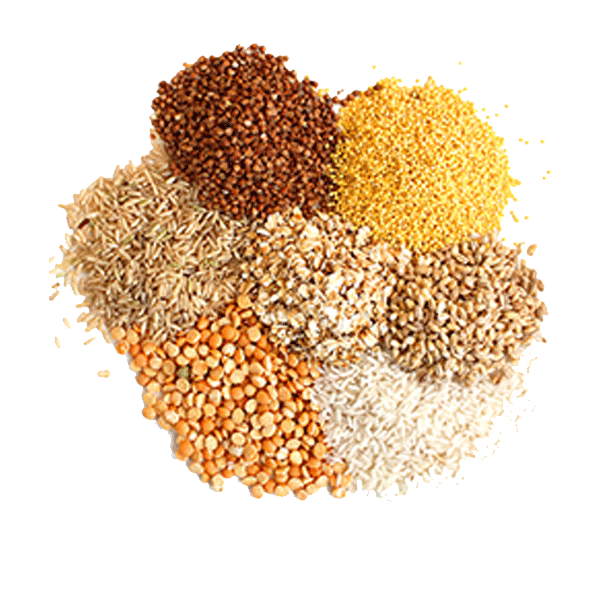 ziarna bio w eko smak